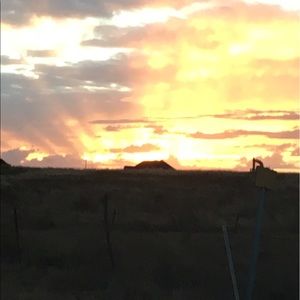 Meet your Posher, Monique