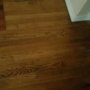 Meet your Posher, Lencho