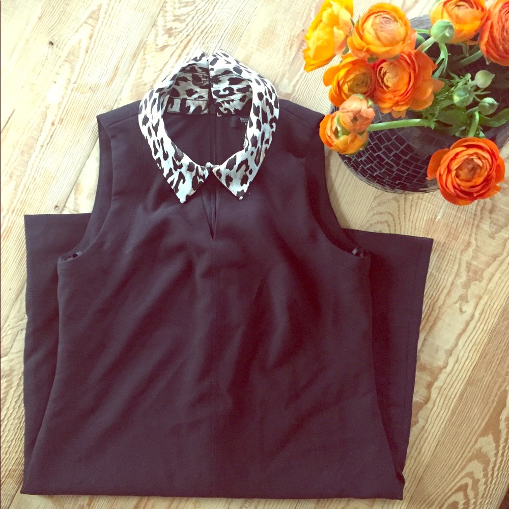 Leopard Print & Leather collar little black dress