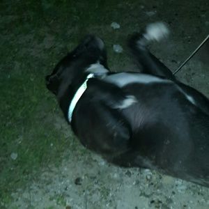 Meet your Posher, Jackie