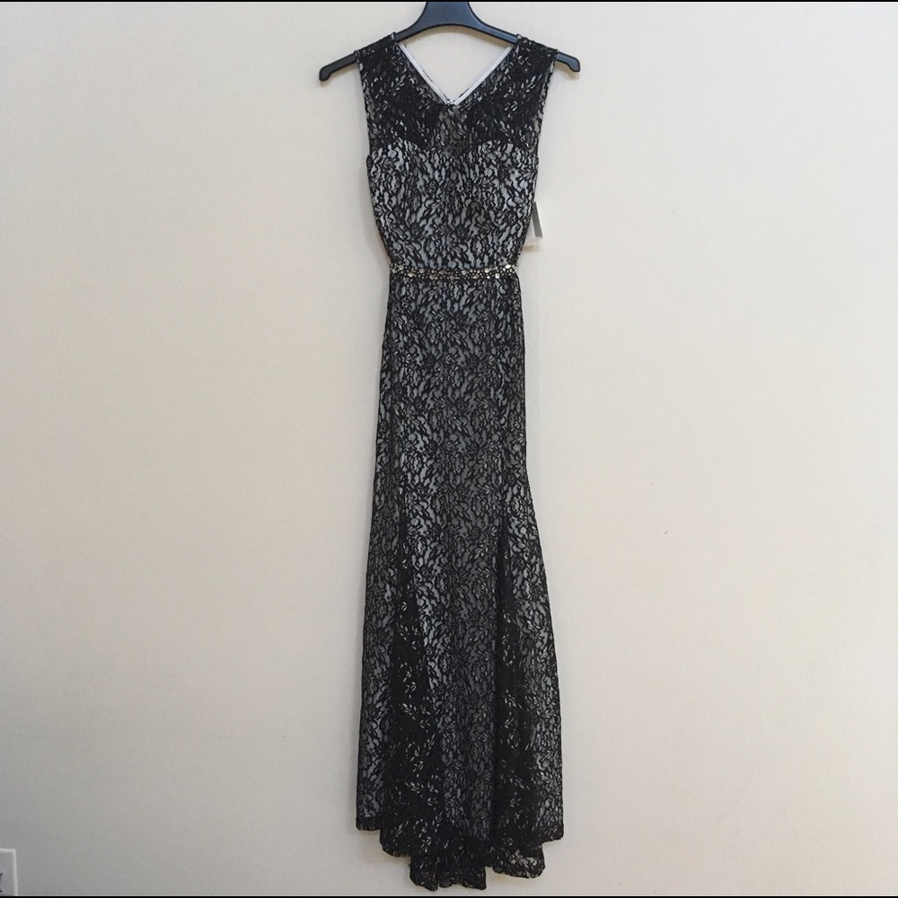 NWT Gorgeous Lace Ball Gown