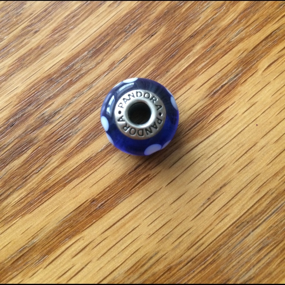 Painted Pandora bead