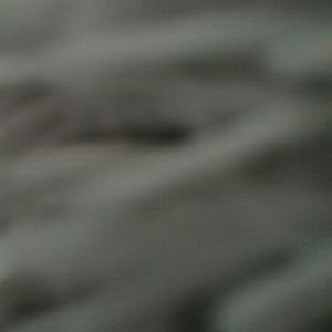 Meet your Posher, Tayler