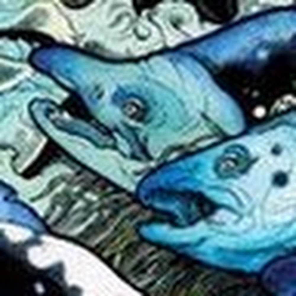 Meet your Posher, Spike