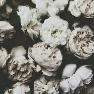 Meet your Posher, Kyla