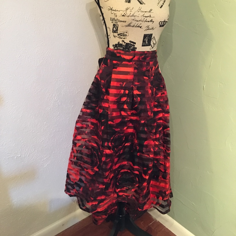NWT Stunning skirt!