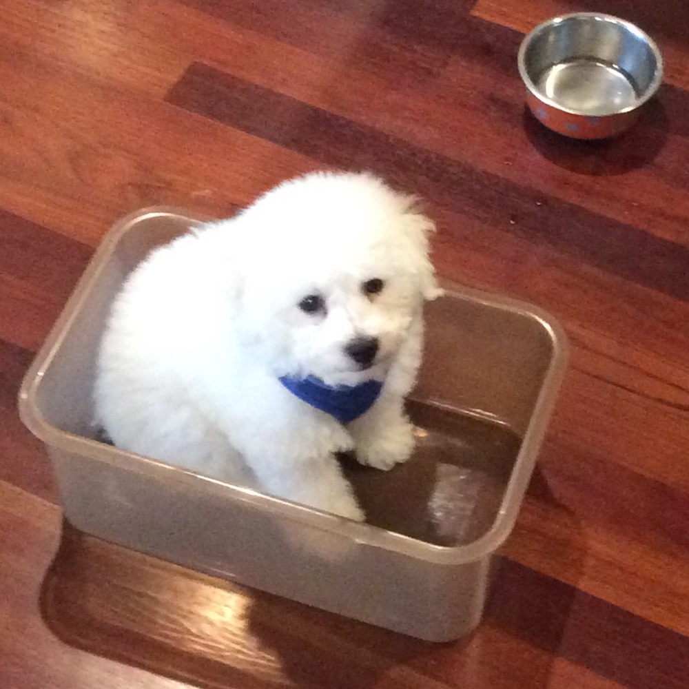 Meet your Posher, Kimberly