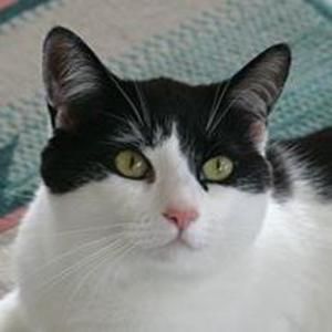 Meet your Posher, Wanda