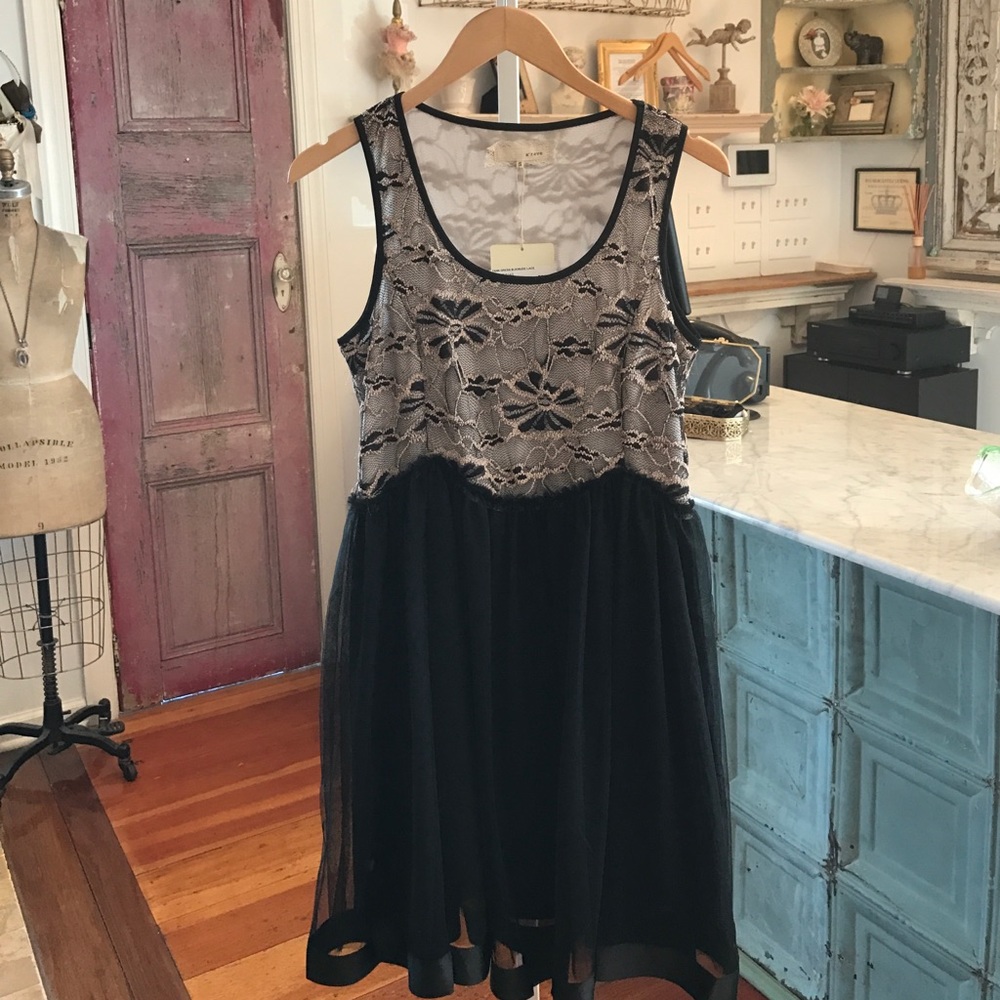 Lace Fit n Flare Dress