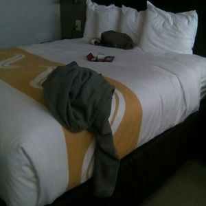 Meet your Posher, Jay