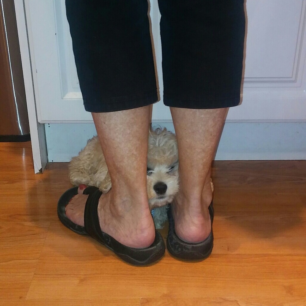 Meet your Posher, Donna