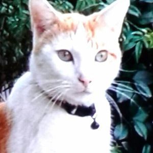 Meet your Posher, Robin