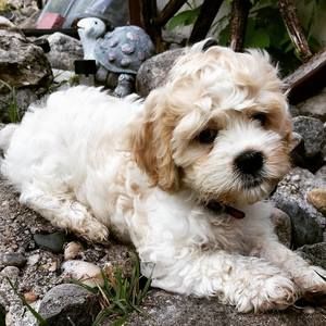 Meet your Posher, Marilyn