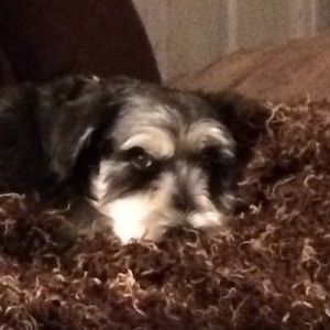 Meet your Posher, Maria