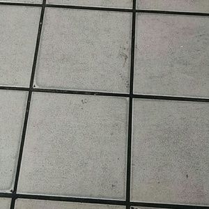 Meet your Posher, Isabel