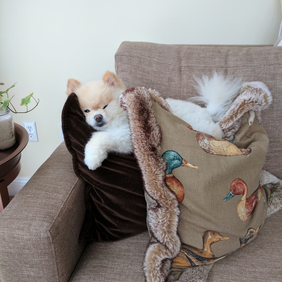 Meet your Posher, Marianne - Picture 2 of 5