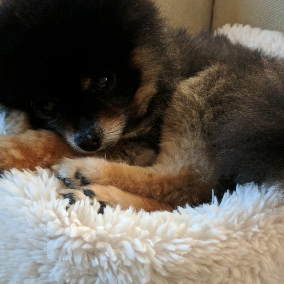 Meet your Posher, Marianne - Picture 3 of 5