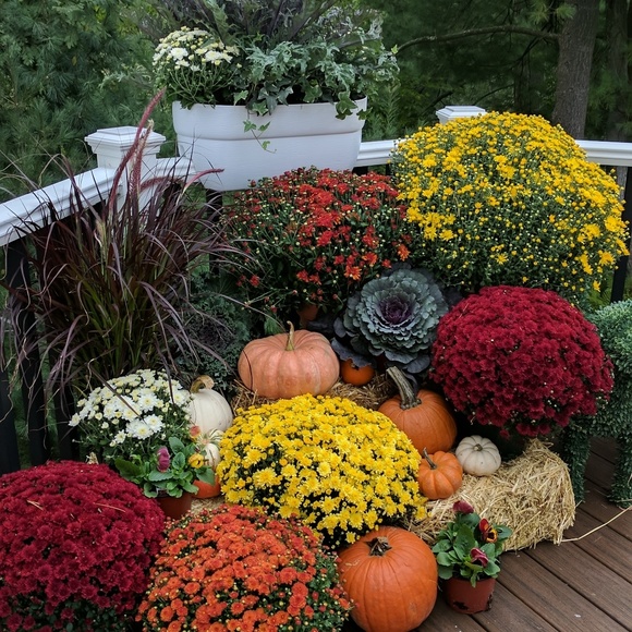 Meet your Posher, Marianne - Picture 4 of 5