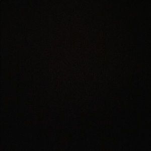 Meet your Posher, Shelby