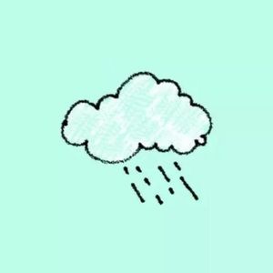 Meet your Posher, Rose