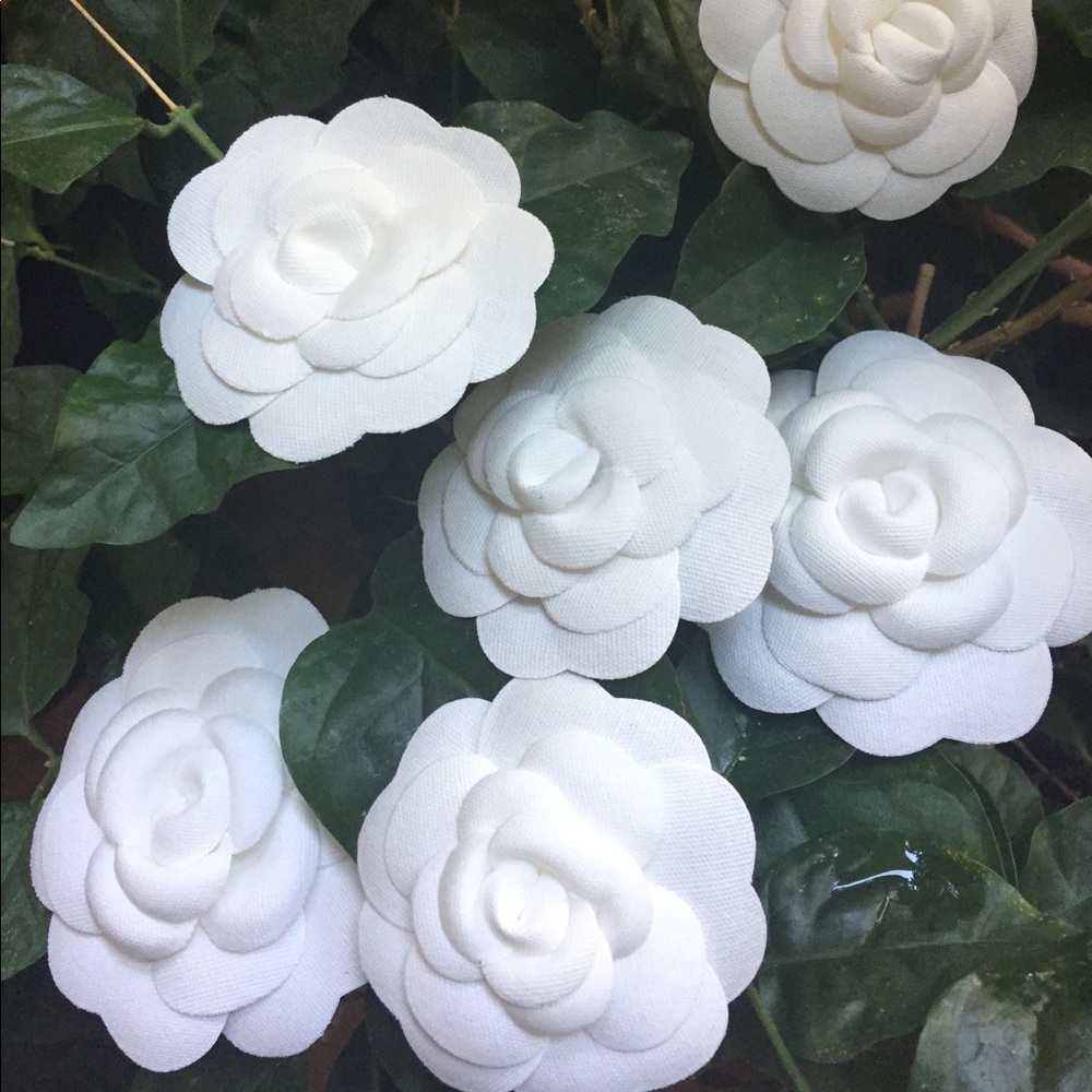 🍃💕Camellia Time - Picture 2 of 3