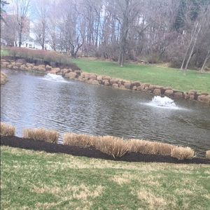 Meet your Posher, Sylvia