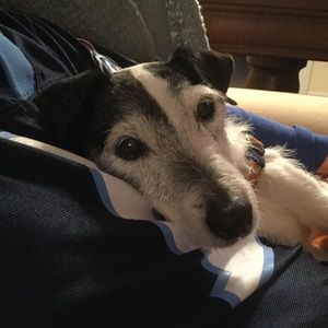 Meet your Posher, Donna