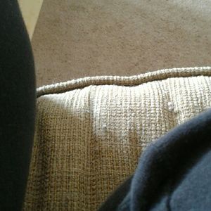 Meet your Posher, Carol