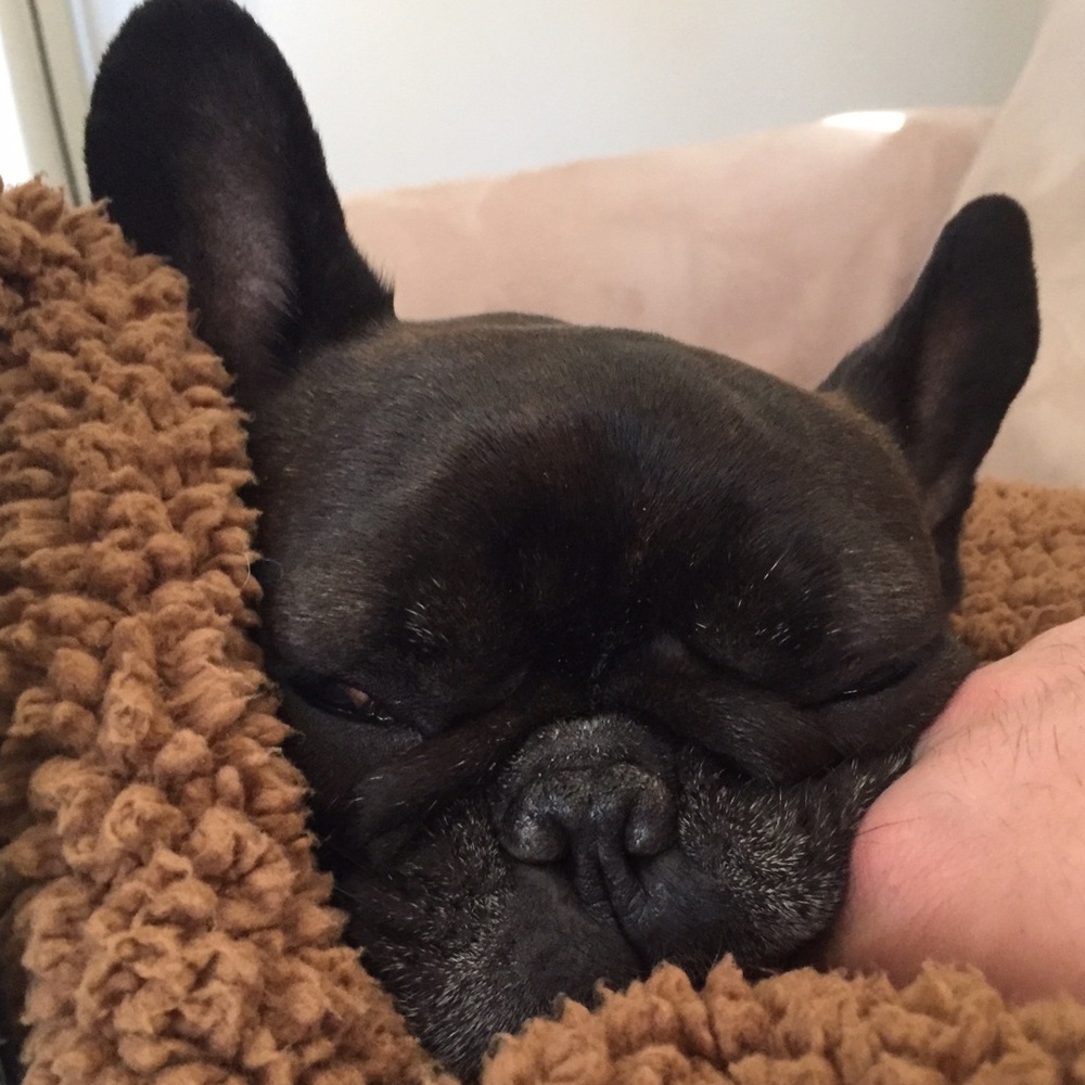 Meet your Posher, Ellen