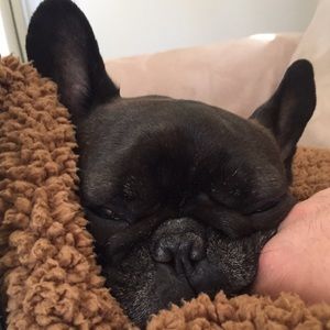 Meet your Posher, Ellen