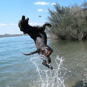 Meet your Posher, Norma