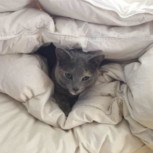 Meet your Posher, Joan