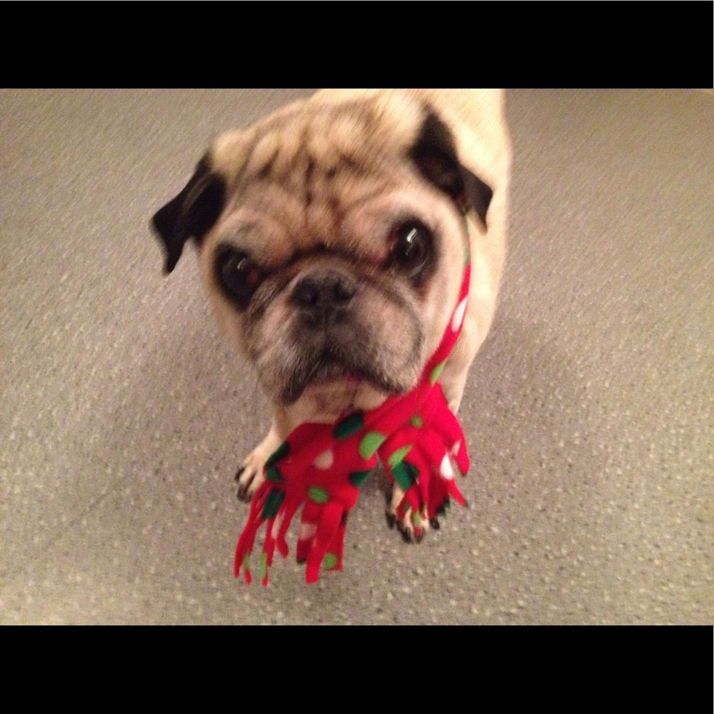 Meet your Posher, Nona