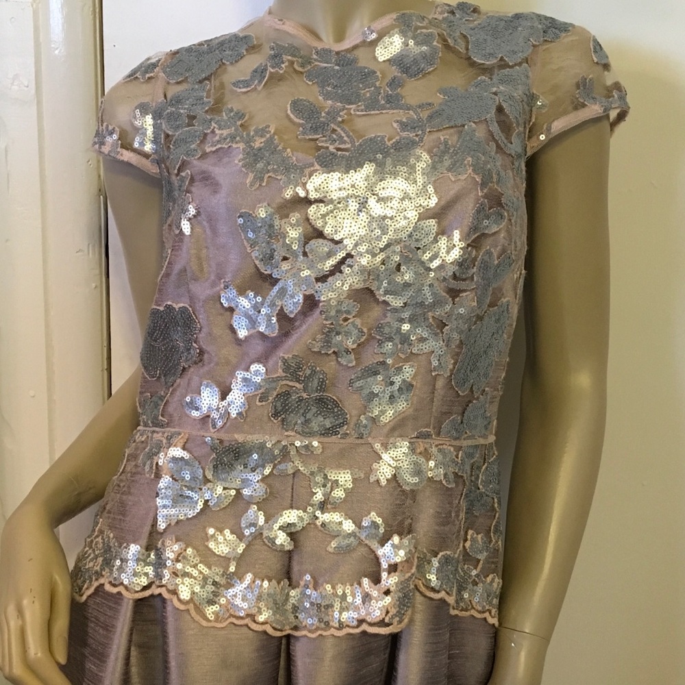 Adriana Papell Lace Overlay Gown 16 Cap Sleeve