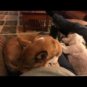 Meet your Posher, Beth