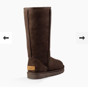 Brown Classic Ugg boots