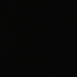 Meet your Posher, Sandy