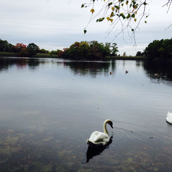 Meet your Posher, Jd - Picture 1 of 1