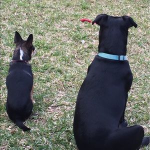 Meet your Posher, Vickie