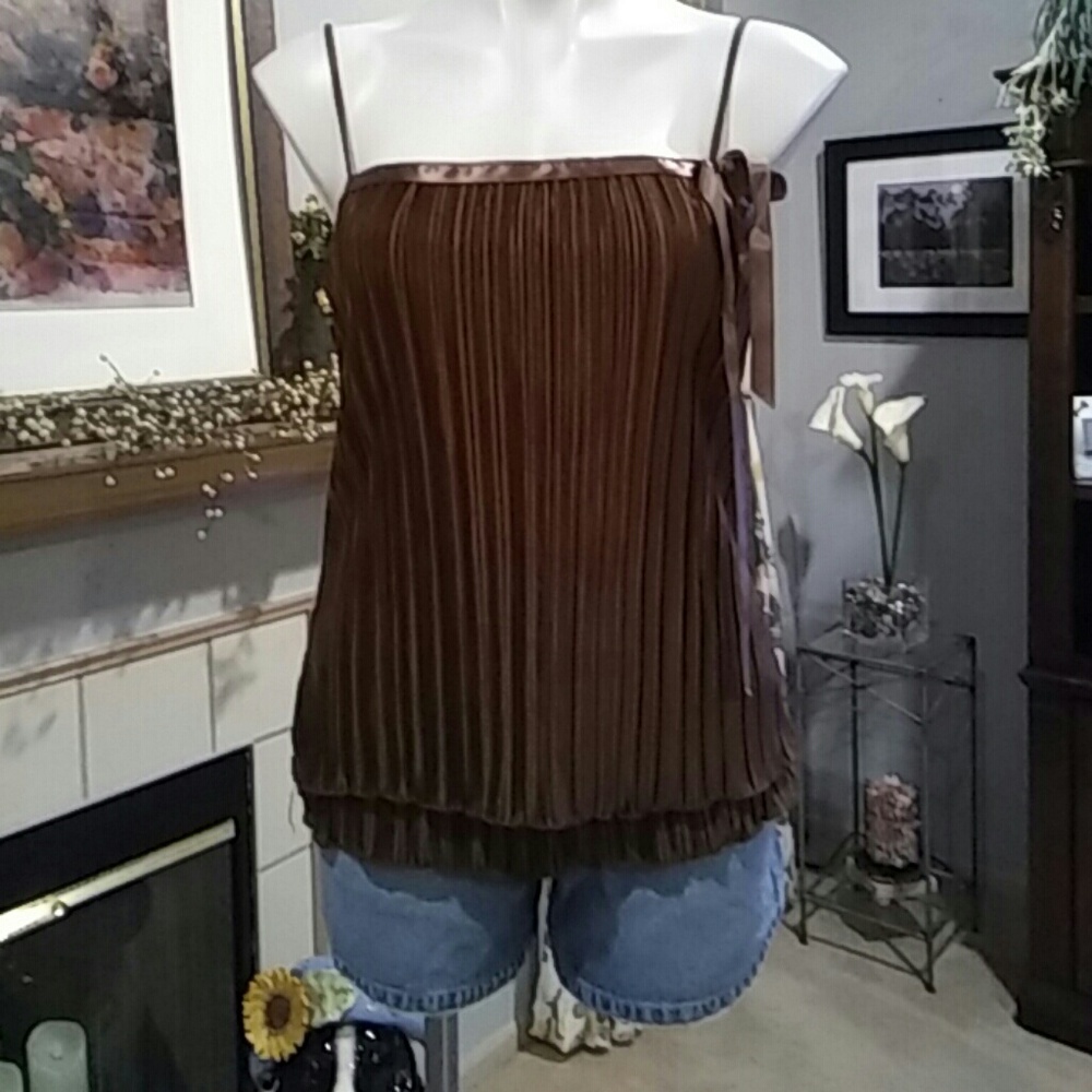 Silk wet seal cami.