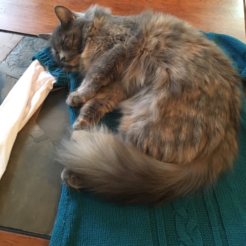 Mommy pay attention to me