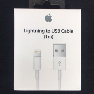 Apple IPhone charger