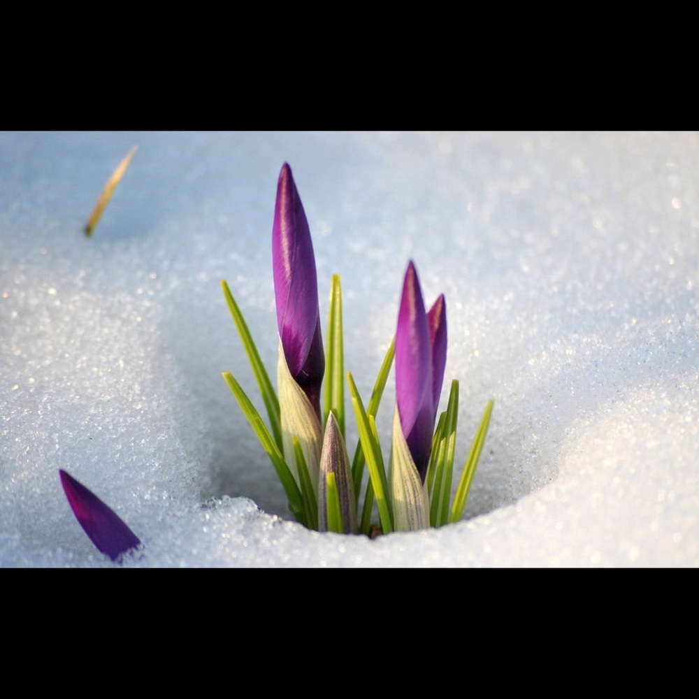 Meet your Posher, Mabyane