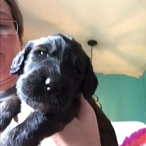 Meet your Posher, Angi