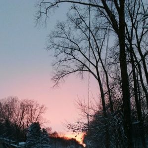 Meet your Posher, Gwendolin