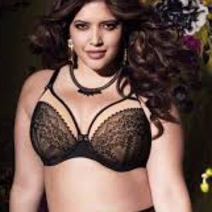 Elomi Plunge Bra ~ Carmen ~ Nude ~ Black ~ Sizes 32HH ~ 34J ~ 36HH ~ BNWT