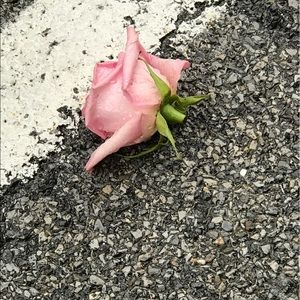 Meet your Posher, Casey