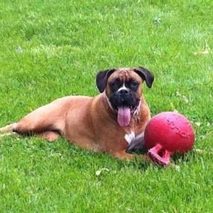 Meet your Posher, Barbara