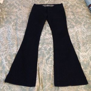 Express flared jeans