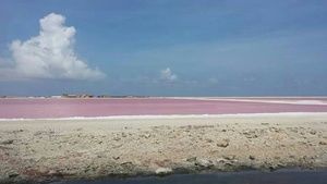 POSHERS PLEASE HELP!!  NEED BATHING SUIT!!